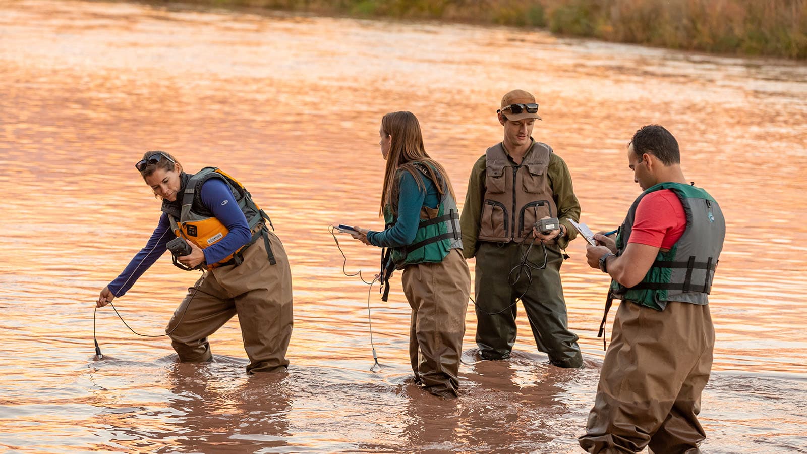 UNM receives renewal of Carnegie Elective Classification for Community Engagement
